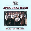 Apex Jazz Band - Heebie Jeebies