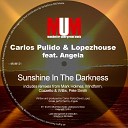 Carlos Pulido Lopezhouse feat Angela feat… - Sunshine in the Darkness Mark Holmes Vocal…