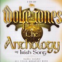 The Wolfe Tones - Boys of the Old Brigade One Road Medley