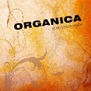 Organica - I sne st r urt og busk i skjul