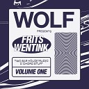 Frits Wentink - Theme 01