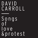 David Carroll - I Can t Vote