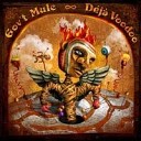 Gov t Mule - Separate Reality