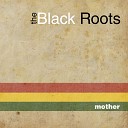 The Black Roots - Got a Vision