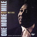 Muddy Waters - I Got To Find My Baby Single Version