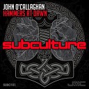 John O Callaghan - Hammers at Dawn