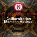 Red Hot Chili Peppers vs Rich Mond - Californication Edmann Mash up