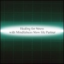 Mindfulness Slow Life Partner - Parabola Detox Original Mix
