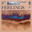 Pontifexx Le Dib feat Zeeba - Feelings Different Stage Remix