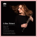 C line Moinet l arte del mondo Werner… - Concerto in D Minor BWV 1059 II Adagio