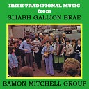 Eamon Mitchell Group - Reels The Musical Priest Sporting Paddy