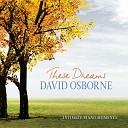 David Osborne - I Guess That s Why They Call It The Blues