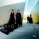 Trio Dinicu feat Tommy Davy - Schubert Mix