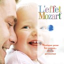 The Mozart Effect - Serenade in C Minor K 388 K 384a II Andante
