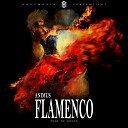 Animus - Flamenco