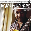 Muddy Waters feat Otis Spann Michael Bloomfield Paul Butterfield Donald Duck Dunn Sam… - Long Distance Call Live At Super Cosmic Jamboree…