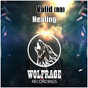 Valid RO - Healing Original Mix