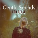 Soothing Sounds Relaxing Night Music Academy Sounds of Nature… - Relaxation Brain Centre