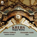 Christophe Guida - Concerto in G Major Krebs WV 821 I Allegro