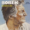 Pavel Bobek feat Yvonne P enosilov - Zvl tn V c