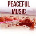 Peaceful Mind Music Consort - Eternal Peace Natural Sleep