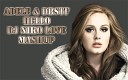 Adele DBSTF - Hello DJ Niko Love MashUp