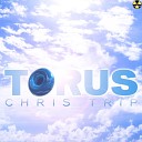 Trip Chris - Torus Walck Remix