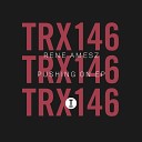Rene Amesz - Pushing On Extended Mix