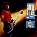 Steve Gaines - On the Road