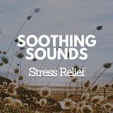 S is for Sleep - Relax Nature Sounds