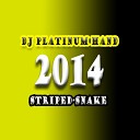 DJ Platinum Hand - Striped Snake 2014 Original Mix