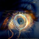 TranceUranium - Wonderful Original Mix