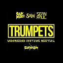 Sak Noel Salvi feat Sean Paul - Trumpets DJ Slavka Romuk Bootleg 2016