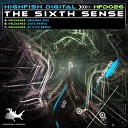 The Sixth Sense - Unleashed Original Mix