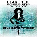Elements Of Life feat Lisa Fischer - Love Will Know Spellband Remix Dub