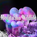 Kundalini Yoga Meditation Relaxation - Water On The Leaves