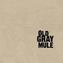 Old Gray Mule - River s Up Y all feat Mississippi Gabe Carter