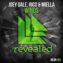 Joey Dale Rico Miella - Winds Original Mix