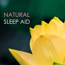 Sleep Aid Solutions - Release the Past