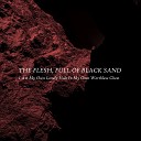 The Flesh Full of Black Sand - The Sky Is Gone But The Stars Are Doors