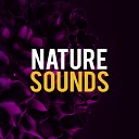 Nature sounds - Mediterranean Sea Original Mix
