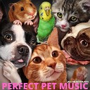 Perfect Pet Music - Doggos Love Jazz To