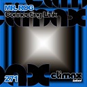 Mr Rog - Connecting Link