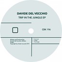 Davide Del Vecchio - The Jungle Original Mix