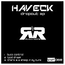 Haveck - Buzz Control Original Mix