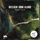 Intelligent Sound Alliance - The Door To The Stars Original Mix