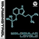 Warminstrel - Molecular Levels Original Mix