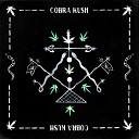 Von Party feat Naduve - Cobra Kush Rodion Remix