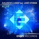 AvAlanche Amos IL feat Lidor Vitzman - Alive Original Mix