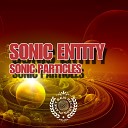 Sonic Entity - Overrun